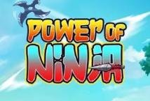 Power of Ninja Slot Review